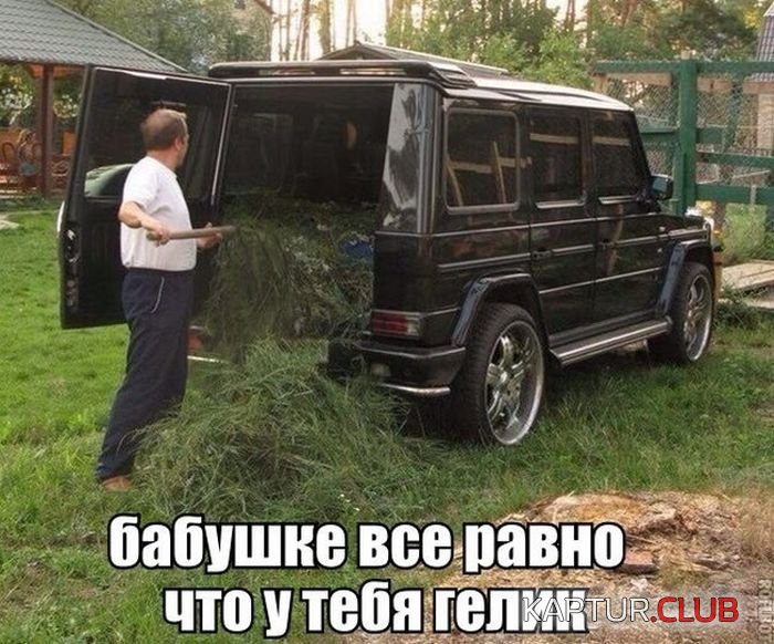 autoprikoli_01.jpg | Рено Каптур Клуб Россия | Форум KAPTUR.SU