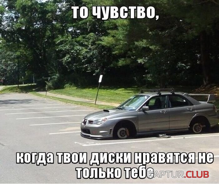 autoprikoli_02.jpg | Рено Каптур Клуб Россия | Форум KAPTUR.SU