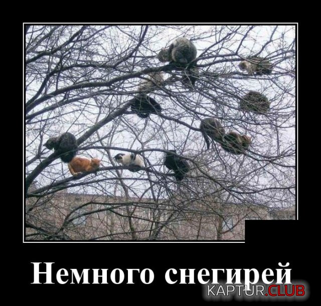 avariya_grodno_03.jpg | Рено Каптур Клуб Россия | Форум KAPTUR.SU