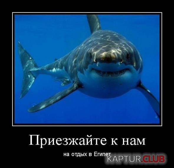 b01cb9acef78a63a6808562a7ca_prev.jpg | Рено Каптур Клуб Россия | Форум KAPTUR.SU