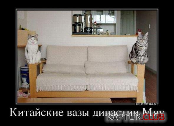 b035c1e448131b151d5bffcc55f_prev.jpg | Рено Каптур Клуб Россия | Форум KAPTUR.SU