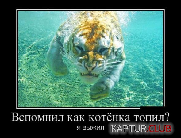b052de57095b19182127510af35_prev.jpg | Рено Каптур Клуб Россия | Форум KAPTUR.SU