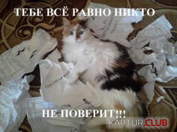 b109d0fb5c2091fb992a28a0eee_prev.jpg | Рено Каптур Клуб Россия | Форум KAPTUR.SU