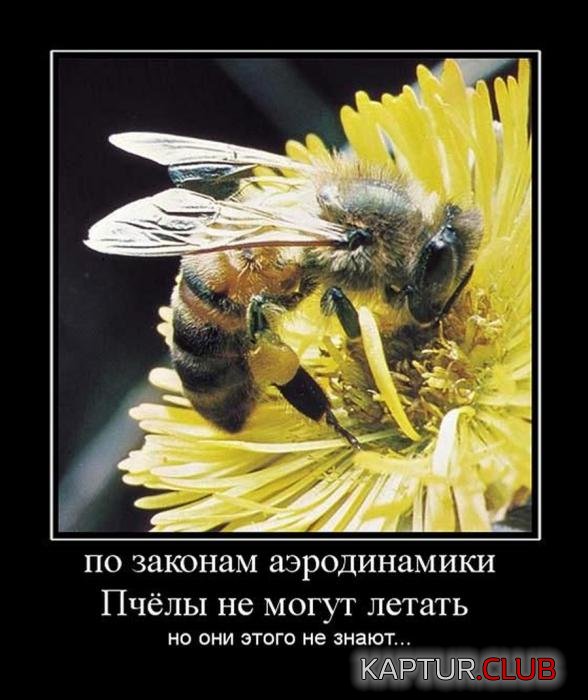 b12e7567d0f259bf4f3bd43b8b3_prev.jpg | Рено Каптур Клуб Россия | Форум KAPTUR.SU