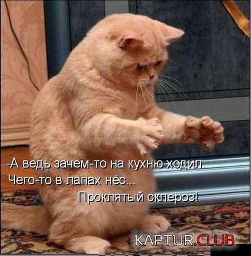 b176a5dc5ee25a9fc042b974a9c.jpg | Рено Каптур Клуб Россия | Форум KAPTUR.SU