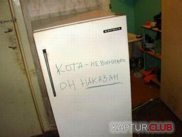 b1b5fca771da3798c8e55bb3e19_prev.jpg | Рено Каптур Клуб Россия | Форум KAPTUR.SU