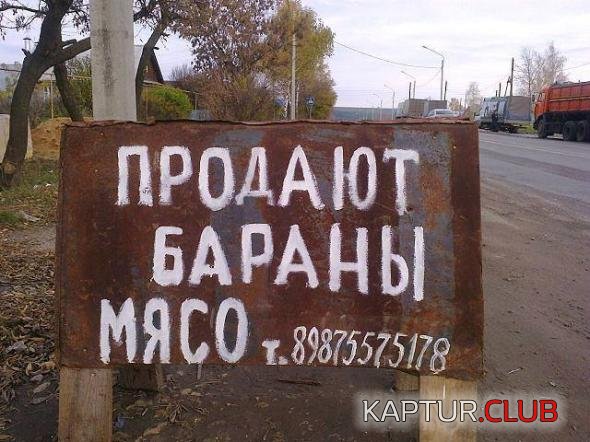 b1e3cb67a33f6e012b648648bde_prev.jpg | Рено Каптур Клуб Россия | Форум KAPTUR.SU