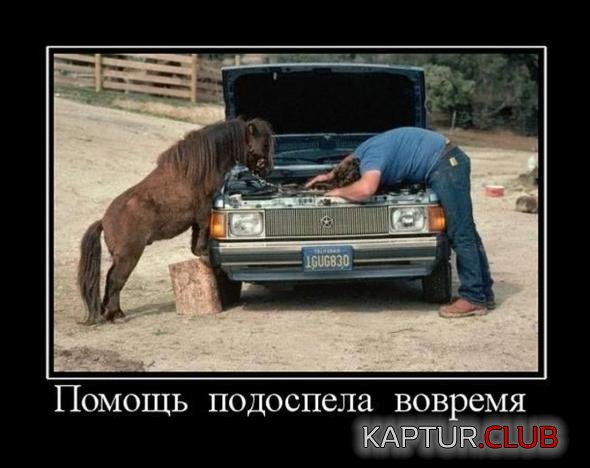 b1edab99241159f2b19b94bc67d_prev.jpg | Рено Каптур Клуб Россия | Форум KAPTUR.SU