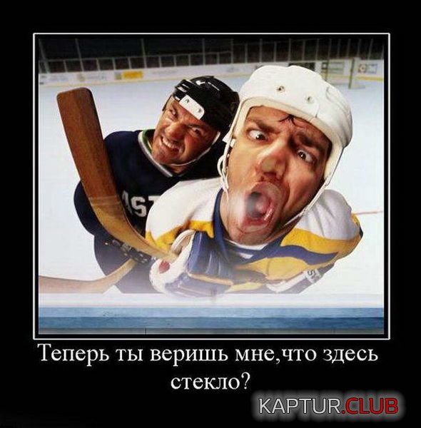 b1f9b4ceeb85945b84ed0ef9804.jpg | Рено Каптур Клуб Россия | Форум KAPTUR.SU