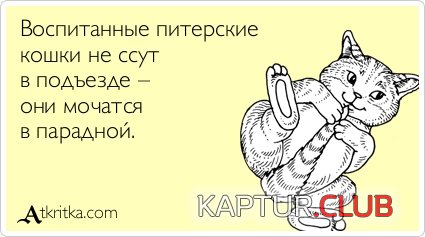 b232cd4dd55edd13f2e78b16db4.jpg | Рено Каптур Клуб Россия | Форум KAPTUR.SU