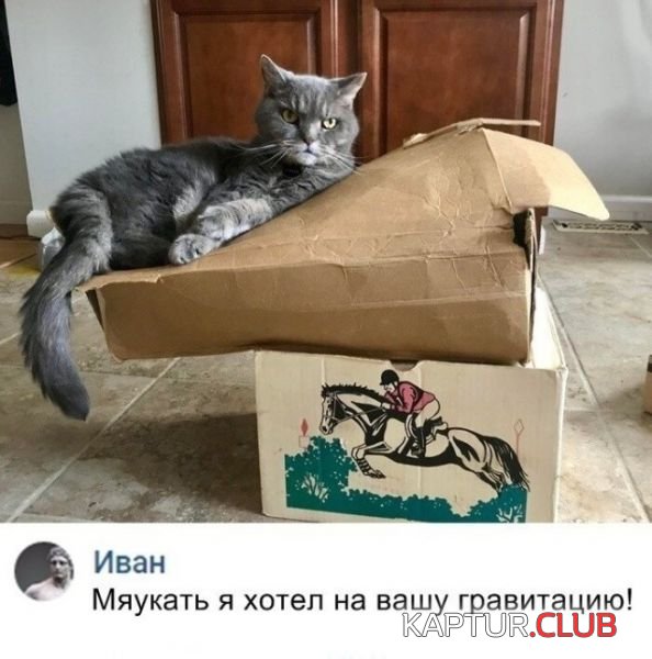 b2a5b0857e2512bed969f1ed265.jpg | Рено Каптур Клуб Россия | Форум KAPTUR.SU