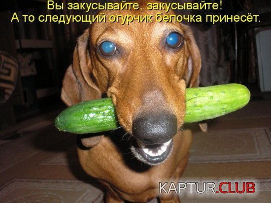 b2f804fa2dbacd78934576f577f.jpg | Рено Каптур Клуб Россия | Форум KAPTUR.SU