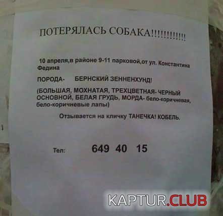 b36bb23c0fc75d34891482283f97b645_full.jpg | Рено Каптур Клуб Россия | Форум KAPTUR.SU