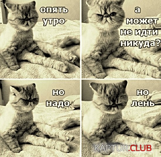 b383c18e1139e7899db858f8ca0.jpg | Рено Каптур Клуб Россия | Форум KAPTUR.SU