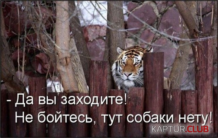 b3c5c7bf20a0e7097da48bb99d6.jpg | Рено Каптур Клуб Россия | Форум KAPTUR.SU