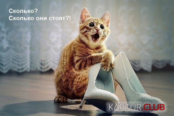 b3f082e758b9fb7658e2994c6f3.jpg | Рено Каптур Клуб Россия | Форум KAPTUR.SU