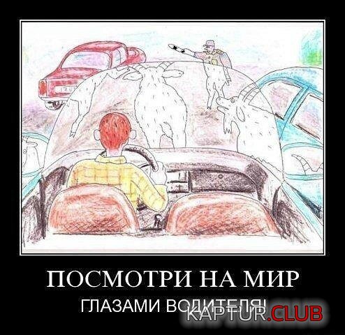 b4128fb4eb2ffc95fb2f66fe469.jpg | Рено Каптур Клуб Россия | Форум KAPTUR.SU