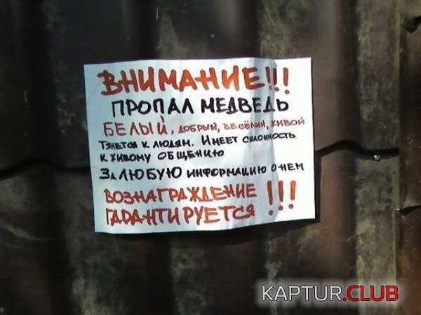 b48c8244040fbbe9ff1ad89385cbc525_full.jpg | Рено Каптур Клуб Россия | Форум KAPTUR.SU