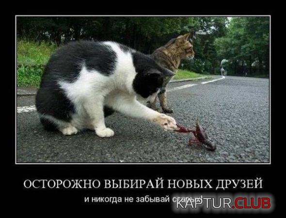 b4ae9c67e8aa2ea3dfec39e00ec_prev.jpg | Рено Каптур Клуб Россия | Форум KAPTUR.SU
