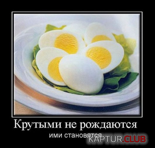 b4ff49a527e384cd3ebce86f7b0.jpg | Рено Каптур Клуб Россия | Форум KAPTUR.SU