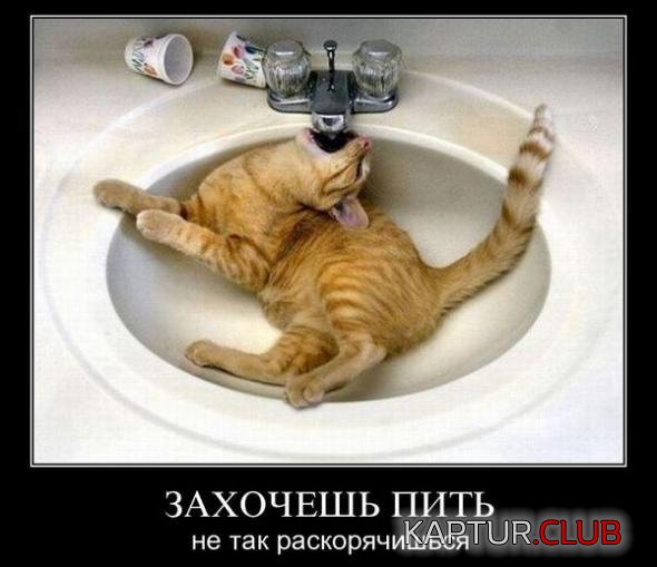 b50412ba5dde9115de4dd7a1a67_prev.jpg | Рено Каптур Клуб Россия | Форум KAPTUR.SU