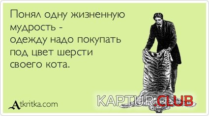 b54e918b0deb408ca6d30572e26.jpg | Рено Каптур Клуб Россия | Форум KAPTUR.SU