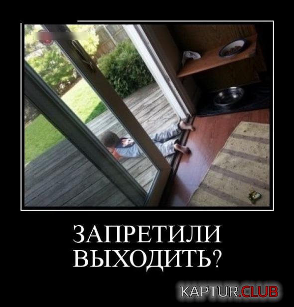 b56c752a221d1eb616a08d2dc63_prev.jpg | Рено Каптур Клуб Россия | Форум KAPTUR.SU