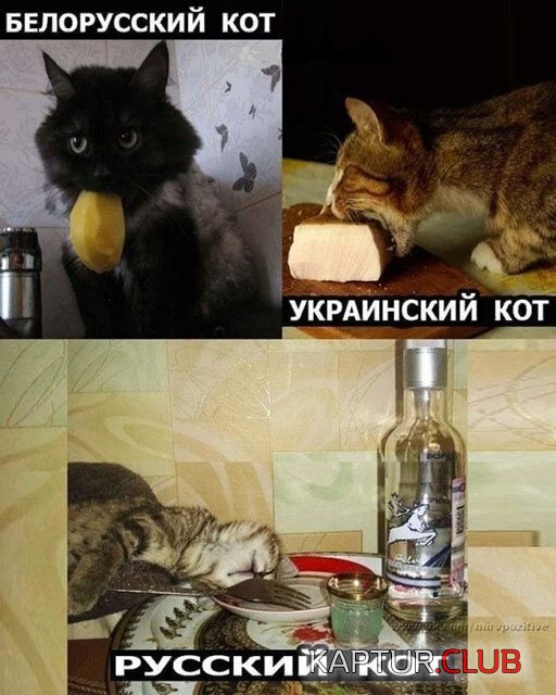 b5817410ed60da24a7f7aa6e769.jpg | Рено Каптур Клуб Россия | Форум KAPTUR.SU