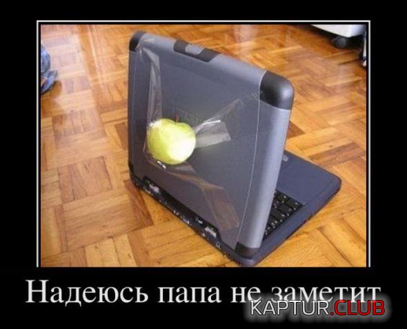 b59b9e6c3d2f9cc98252a5b41ac_prev.jpg | Рено Каптур Клуб Россия | Форум KAPTUR.SU