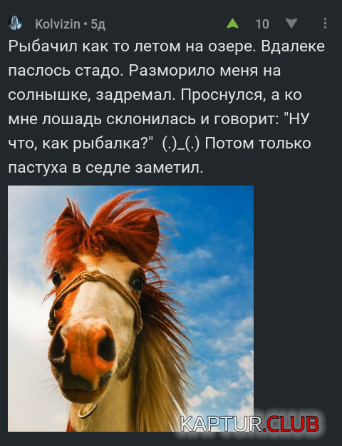 b60af63953522bf8b8c415caed0.png | Рено Каптур Клуб Россия | Форум KAPTUR.SU