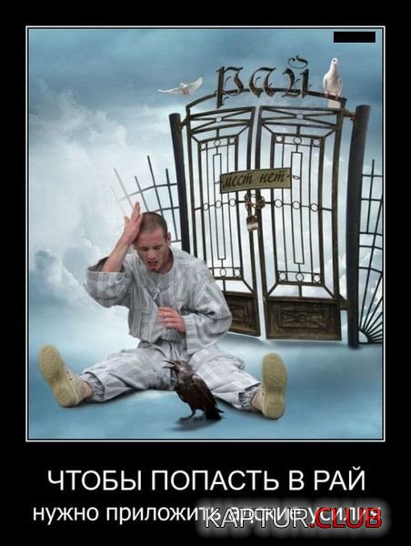 b6413aeeffd610a61c9cacda781.jpg | Рено Каптур Клуб Россия | Форум KAPTUR.SU