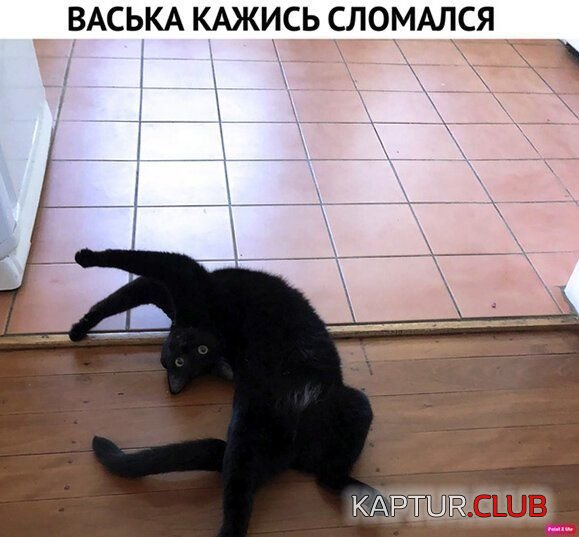 b6df9aa17ab4e81d9e8418b619e.jpg | Рено Каптур Клуб Россия | Форум KAPTUR.SU
