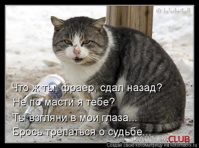 b76e3f1a36df8b4bcea5fd6e73d.jpg | Рено Каптур Клуб Россия | Форум KAPTUR.SU