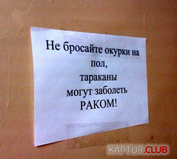 b7caf66ea311cfbb465826b255a_prev.jpg | Рено Каптур Клуб Россия | Форум KAPTUR.SU