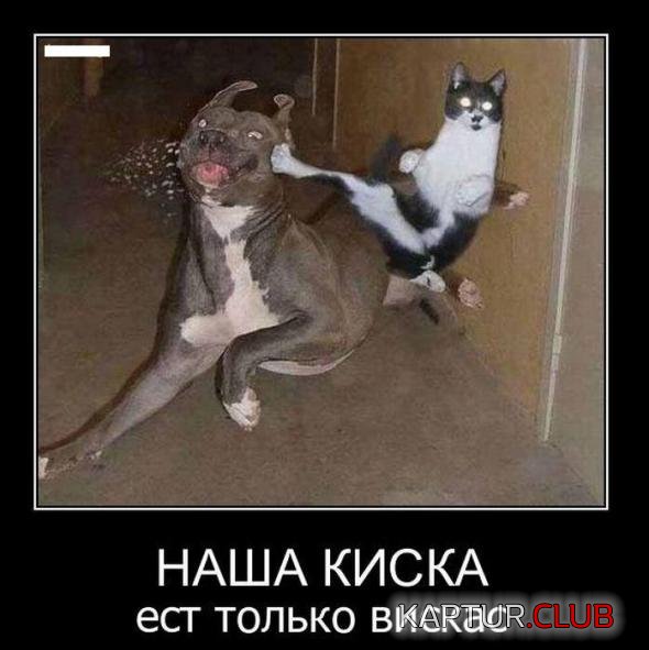 b801f9f7cd4a76d9abeb99b4c99_prev.jpg | Рено Каптур Клуб Россия | Форум KAPTUR.SU