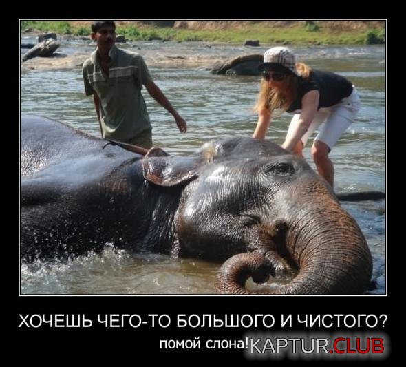 b879f69a60fc9bbb59dc72f2af4_prev.jpg | Рено Каптур Клуб Россия | Форум KAPTUR.SU