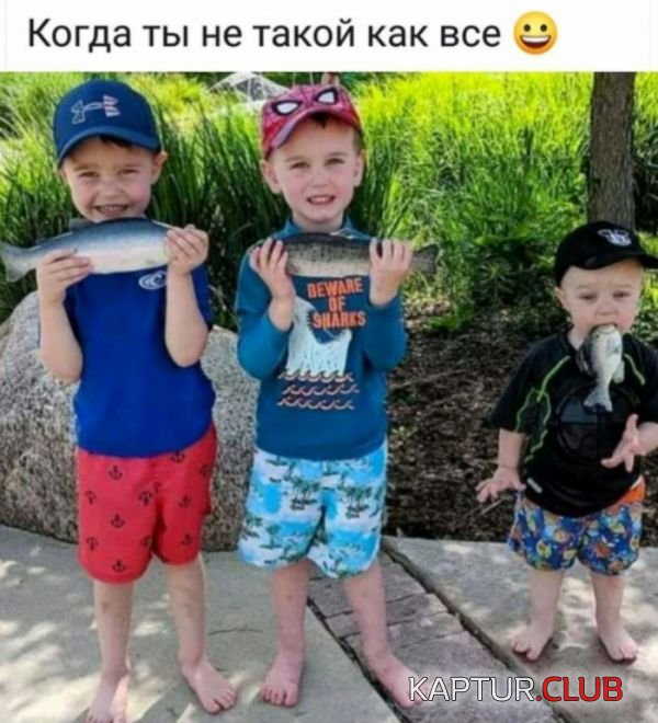 b8b1994fa0cf34c822d74da96c9.jpg | Рено Каптур Клуб Россия | Форум KAPTUR.SU