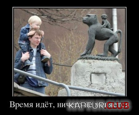 b8df7bae08087c1517baaad1114.jpg | Рено Каптур Клуб Россия | Форум KAPTUR.SU
