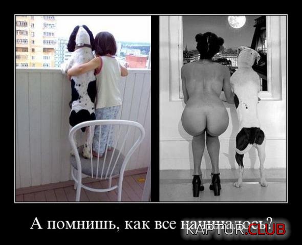 b93e5375b116569f812a6939217_prev.jpg | Рено Каптур Клуб Россия | Форум KAPTUR.SU