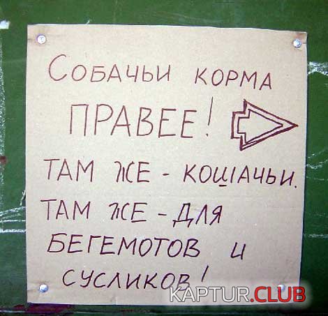 b9b51147d8db0de8371df55ab258bff9_full.jpg | Рено Каптур Клуб Россия | Форум KAPTUR.SU
