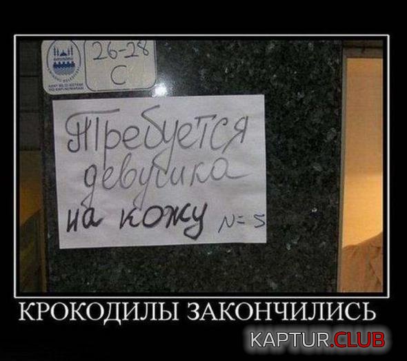 b9c1aca7b14af2191276a99a1dc_prev.jpg | Рено Каптур Клуб Россия | Форум KAPTUR.SU