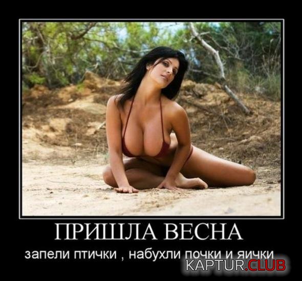 ba064f76887032d5918a60589d4_prev.jpg | Рено Каптур Клуб Россия | Форум KAPTUR.SU