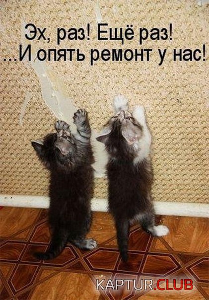 ba28801d714b7f35a4cb0d527b6.jpg | Рено Каптур Клуб Россия | Форум KAPTUR.SU
