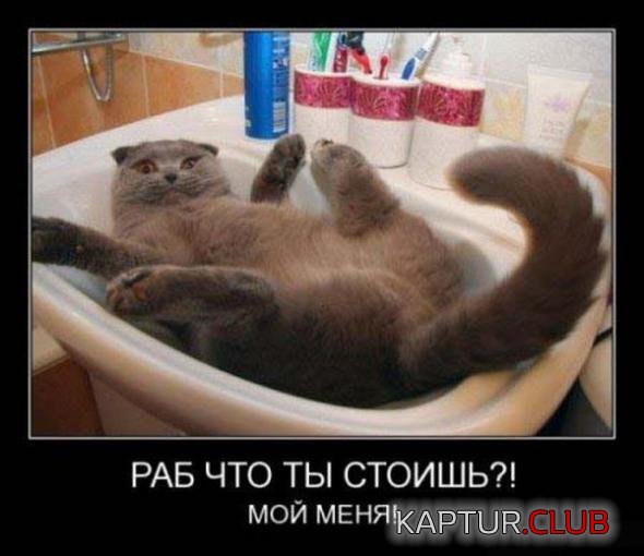 ba328d850953e81874de084df03_prev.jpg | Рено Каптур Клуб Россия | Форум KAPTUR.SU