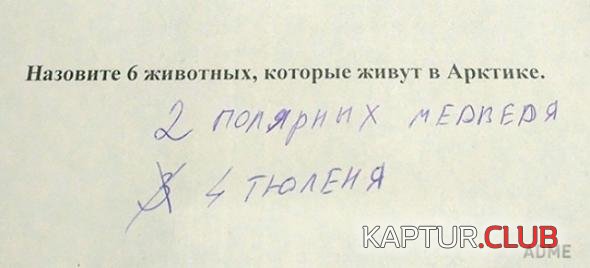 bac38d11e969338d24e0fb5ff84_prev.jpg | Рено Каптур Клуб Россия | Форум KAPTUR.SU