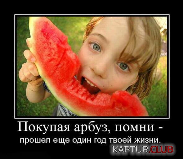 bad46410fdaf05c4fb9784d4d89_prev.jpg | Рено Каптур Клуб Россия | Форум KAPTUR.SU