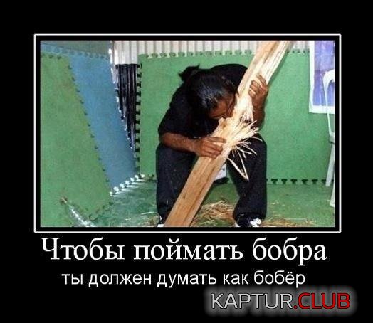 bb4e411469a9a5ff2b948ad5ede.jpg | Рено Каптур Клуб Россия | Форум KAPTUR.SU