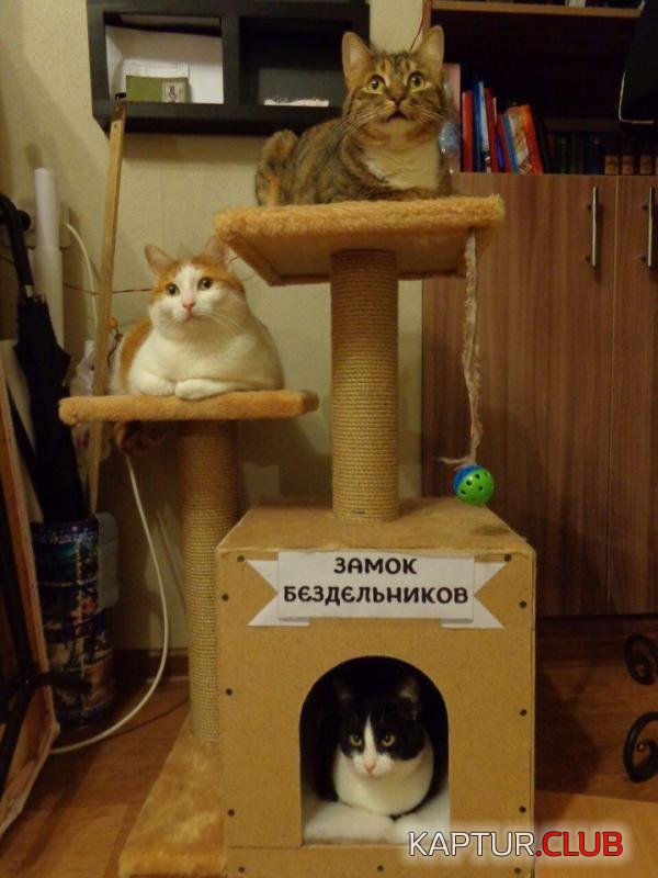 bbc4c77d771f6f10a16f000a6f3_prev.jpg | Рено Каптур Клуб Россия | Форум KAPTUR.SU