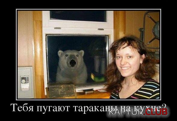 bbfd9b87769a9306626560c3a39_prev.jpg | Рено Каптур Клуб Россия | Форум KAPTUR.SU