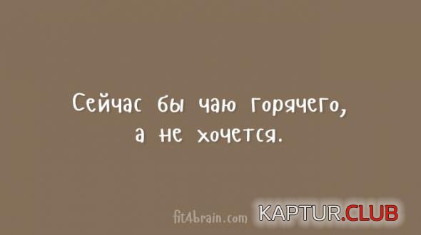 bc3ef1f3fe543d68cbb348c8855_prev.jpg | Рено Каптур Клуб Россия | Форум KAPTUR.SU
